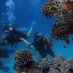 AI-Powered Robot Launched to Explore Deep-Sea Ecosystems